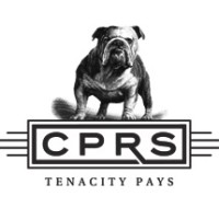 CPRS Analytics India Pvt. Ltd., logo - Similar company to Smart Start Consulting - Erp Coach | It Project Advocate | Project Manager