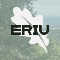 Eriu logo - Similar company to Stackbridge
