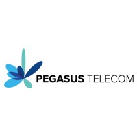 Pegasus Telecom Holding logo - Similar company to Pegasus Telecom Training