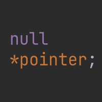NullPointer logo - Similar company to Null Pointer