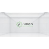 Aurus Realty Consultants logo - Similar company to Aim Growth Digital (Ag Digital)