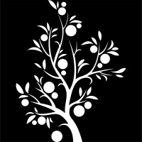 Grupo Caqui logo - Similar company to Solução Logística