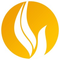 Seagull Global for Business Development & Marketing logo - Similar company to Start For Business Development