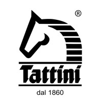 Tattini srl logo - Similar company to Ego7 Srl