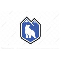 BM Resilience logo - Similar company to Shield Forensics
