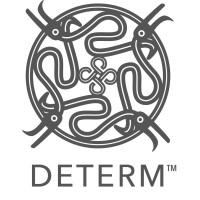Determ logo - Similar company to Dmy Studios