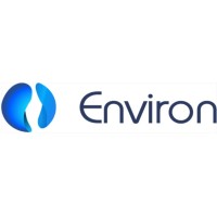 Environ logo - Similar company to Execburo