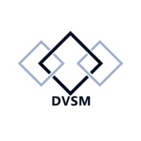 DVSM Consulting logo - Similar company to Dvf Consulting