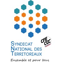 SNT - Syndicat National des Territoriaux CFE CGC logo - Similar company to D-Pro Sas
