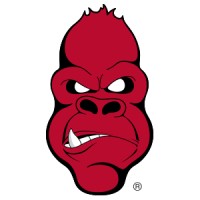 Angry Ape ® Photography logo - Similar company to Moonbug Photography