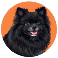 Pawsentials Pet Services Co. logo - Similar company to We Are Bar None Inc.
