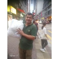 Courier, Cargo, Customs Agent, Individual Network Worldwide logo - Similar company to Hardol Courier And Cargo