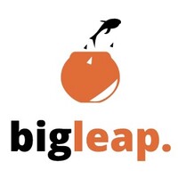 Big Leap Digital logo - Similar company to Base Analytics
