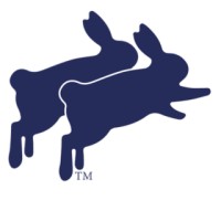 Rabbit International Cargo Systems logo - Similar company to Kesineni Group