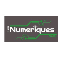 Les Numeriques Sarl logo - Similar company to Olatech Ict Solutions