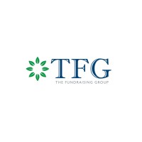 The Fundraising Group logo - Similar company to Vmg - Visual Merchandising Group