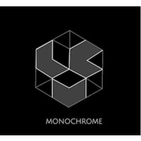 Mono|Chrome logo - Similar company to Divno