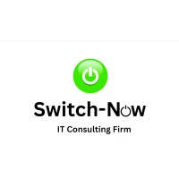 Switch-Now Consulting logo - Similar company to Qtkru
