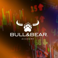 Bull & Bear Academy logo - Similar company to Trader Mentor