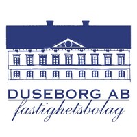 Duseborg AB logo - Similar company to Coretech Capital