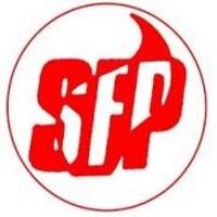 Snowdonia Fire & Security logo - Similar company to Birchall Reality - It Support, Web & Media