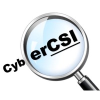 CyberCSI logo - Similar company to Cybercsi, Inc.