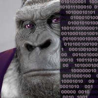 Kongs Digital logo - Similar company to Bit Rhein-Main Gmbh