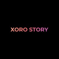 XORO Story Inc logo - Similar company to Xr Labs - The Ar Vr Company