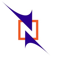 Netswitch Technology Management logo - Similar company to Network Box Usa