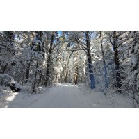 Ski Internet Inc.