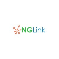 NG Link logo - Similar company to Agency Services Worldwide