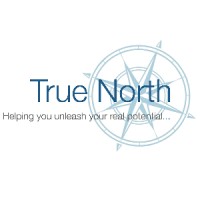TrueNorthConsulting logo - Similar company to Ayotee