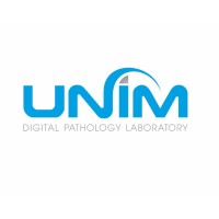 UNIM Ltd. logo - Similar company to Netcube Llc