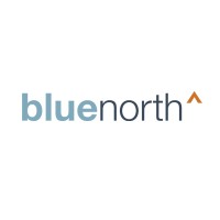 Blue North Strategies logo - Similar company to Blakely Fundraising