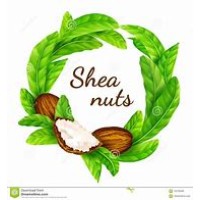 Natures Essential logo - Similar company to Natures Essentials