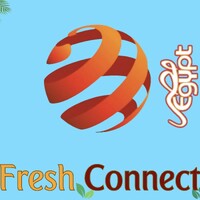 Fresh Connect Eg logo - Similar company to Onyx Trading & Consulting