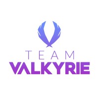 Team Valkyrie Racing logo - Similar company to Tech-Set
