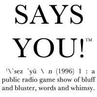 Says You! logo - Similar company to Recreate