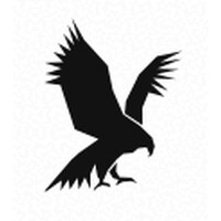 Corvus Strategic Advisors logo - Similar company to Qhr