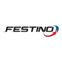 Festino Indonesia logo - Similar company to Zoan Technology