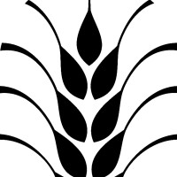 Whole Wheat Creative