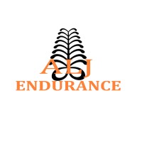 ALJ Endurance, LLC logo - Similar company to Larry Mark Honig Phd