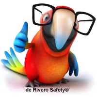 de Rivero safety ® logo - Similar company to Clinics Developer
