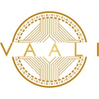 Vaali Infotech logo - Similar company to Cvdragon
