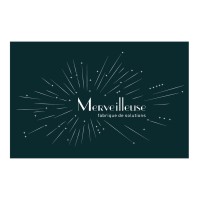 Sté Merveilleuse : Fabrique de solutions pour entrepreneurs débordés logo - Similar company to Cogitime
