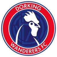 Dorking Wanderers FC logo - Similar company to Boreham Wood Football Club