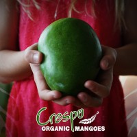 Crespo Organic Mangoes logo - Similar company to Devgad Alphonso