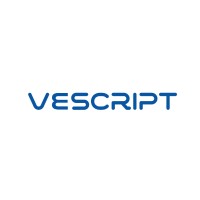 VESCRIPT ITS PVT. LTD. logo - Similar company to Data Nutts It Solutions