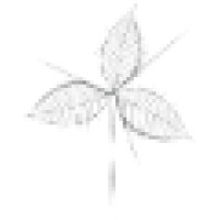 PINERGIA logo - Similar company to Copymouse, Sccl