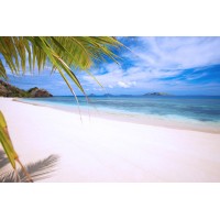Cami Joy Travels logo - Similar company to Oto Technology Us